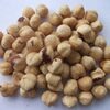 Roasted Hazelnut Exporters, Wholesaler & Manufacturer | Globaltradeplaza.com