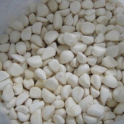 Quality Iqf Frozen Garlic Exporters, Wholesaler & Manufacturer | Globaltradeplaza.com