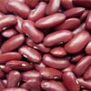 Quality Red Kidney Beans Exporters, Wholesaler & Manufacturer | Globaltradeplaza.com