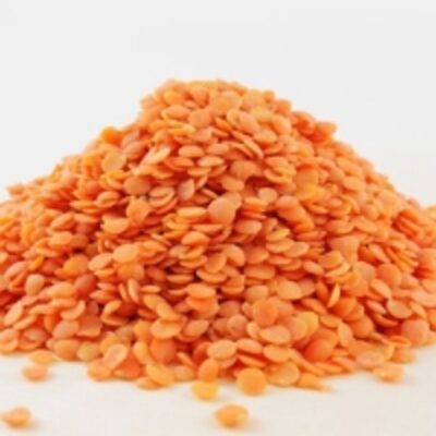 Quality Red Lentils Exporters, Wholesaler & Manufacturer | Globaltradeplaza.com