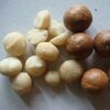 Cheap Macadamia Nuts Exporters, Wholesaler & Manufacturer | Globaltradeplaza.com