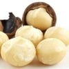Bulk Macadamia Nuts Exporters, Wholesaler & Manufacturer | Globaltradeplaza.com
