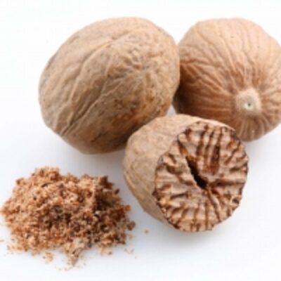 Nutmeg Exporters, Wholesaler & Manufacturer | Globaltradeplaza.com