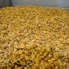 Pecan Nuts Exporters, Wholesaler & Manufacturer | Globaltradeplaza.com