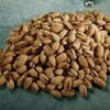 Pistachio Nuts Exporters, Wholesaler & Manufacturer | Globaltradeplaza.com