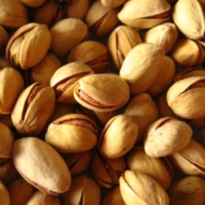 Roasted Pistachio Nuts Exporters, Wholesaler & Manufacturer | Globaltradeplaza.com