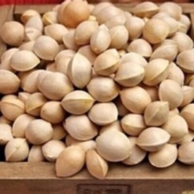 Ginkgo Nuts Exporters, Wholesaler & Manufacturer | Globaltradeplaza.com