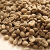 Robusta Coffee Bean - 70% Exporters, Wholesaler & Manufacturer | Globaltradeplaza.com