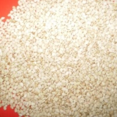 Quality Sesame Seeds Exporters, Wholesaler & Manufacturer | Globaltradeplaza.com