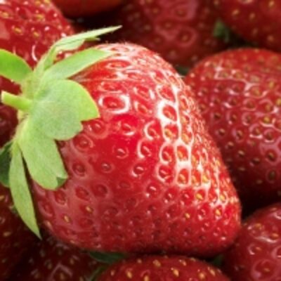 Pure Strawberries Exporters, Wholesaler & Manufacturer | Globaltradeplaza.com