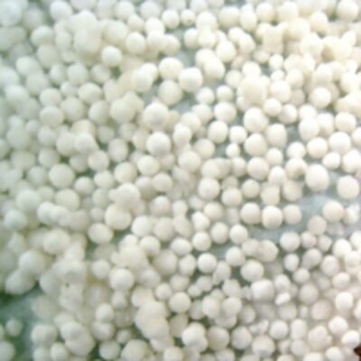 Quality Tapioca Pearl Exporters, Wholesaler & Manufacturer | Globaltradeplaza.com