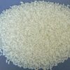 Round Grain White Rice Exporters, Wholesaler & Manufacturer | Globaltradeplaza.com