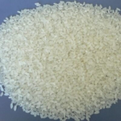 Round Grain White Rice Exporters, Wholesaler & Manufacturer | Globaltradeplaza.com