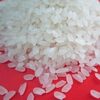 Quality Round Grain White Rice Exporters, Wholesaler & Manufacturer | Globaltradeplaza.com