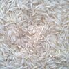 Pure White Rice 5% Exporters, Wholesaler & Manufacturer | Globaltradeplaza.com