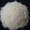 Thai White Rice 5% Exporters, Wholesaler & Manufacturer | Globaltradeplaza.com
