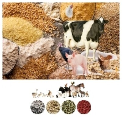 resources of Animal Feed exporters