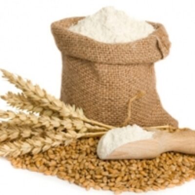 resources of Flour Mills Products exporters