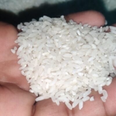 resources of 25% Broken Raw Rice Long Grains exporters
