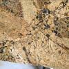 Alaska Gold Slab Granite Exporters, Wholesaler & Manufacturer | Globaltradeplaza.com