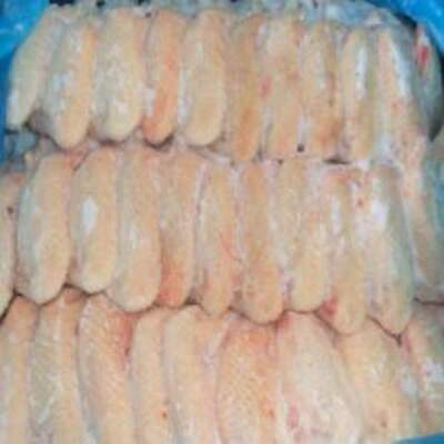 resources of Chicken Mid Joint Wing exporters