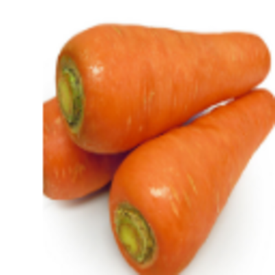 resources of Fresh Carrots exporters