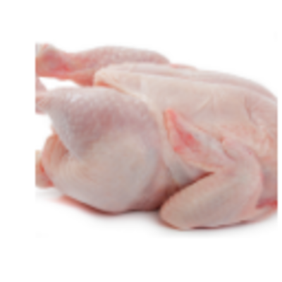 resources of Halal Whole Chicken And Chicken Parts Supplier exporters