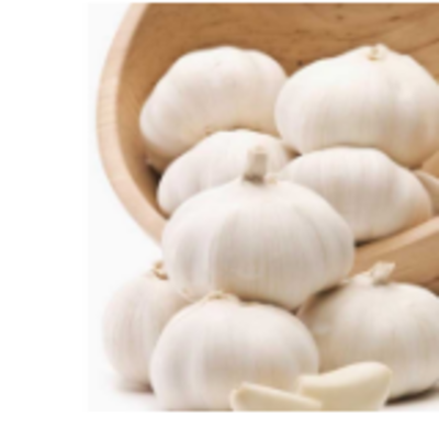 resources of New Crop Fresh Garlic exporters