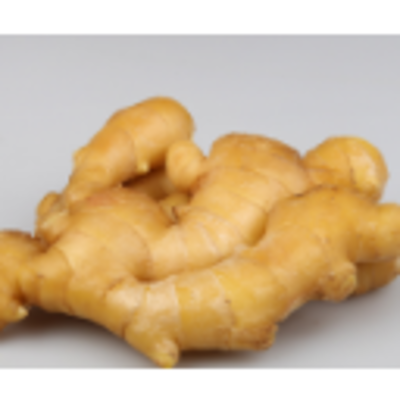 resources of 200Gr Up Organic Fresh Ginger For Sale exporters