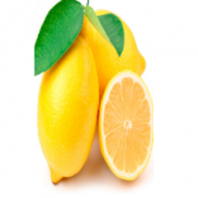 resources of Green Lemon exporters