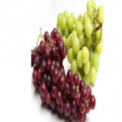resources of Fresh Thomson Seedless Grapes exporters