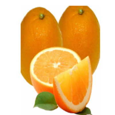 resources of Organic Fresh Orange exporters