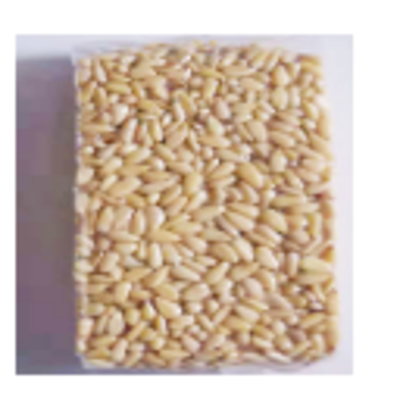 resources of High Quality Siberian Pine Nut exporters