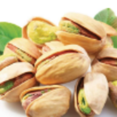 resources of Wholesale Pistachio With And Without Shell exporters