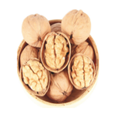 resources of Cheap Price Walnut With Shell exporters