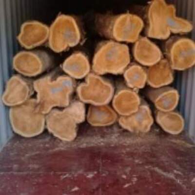 resources of Teak Wood exporters