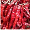 Red Chilli Exporters, Wholesaler & Manufacturer | Globaltradeplaza.com