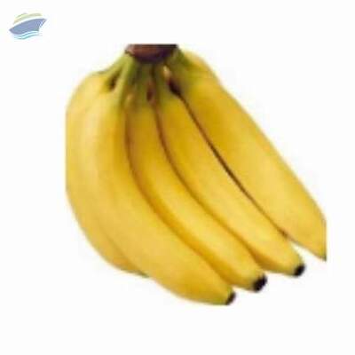 Green And Yellow Cavendish Banana Exporters, Wholesaler & Manufacturer | Globaltradeplaza.com