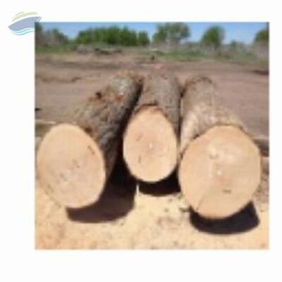 Fresh-Cut Red And White Oak Timber Logs Exporters, Wholesaler & Manufacturer | Globaltradeplaza.com