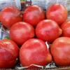 Red Pomegranate Exporters, Wholesaler & Manufacturer | Globaltradeplaza.com
