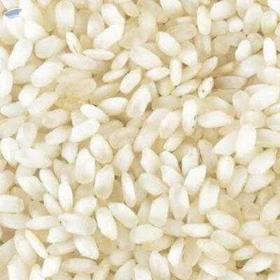 resources of Idli Rice exporters