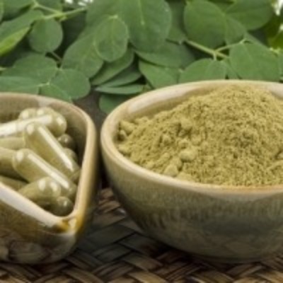 Moringa Oleifera Leaf Powder Exporters, Wholesaler & Manufacturer | Globaltradeplaza.com