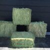 Alfalfa Pallets For Sale Exporters, Wholesaler & Manufacturer | Globaltradeplaza.com