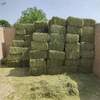 Alfalfa Hay Bales Exporters, Wholesaler & Manufacturer | Globaltradeplaza.com