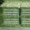 Animal Feed Alfalfa Exporters, Wholesaler & Manufacturer | Globaltradeplaza.com