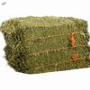 Gmo Free Alfalfa  Hay For Sale Exporters, Wholesaler & Manufacturer | Globaltradeplaza.com