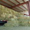 Alfalfa Hay Feed Exporters, Wholesaler & Manufacturer | Globaltradeplaza.com