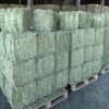 Alfalfa Bales Non Gmo For Sale Exporters, Wholesaler & Manufacturer | Globaltradeplaza.com
