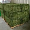 Alfalfa For Animal Feeding Exporters, Wholesaler & Manufacturer | Globaltradeplaza.com