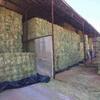 Sample Free High Quality Alfalfa Hay Exporters, Wholesaler & Manufacturer | Globaltradeplaza.com